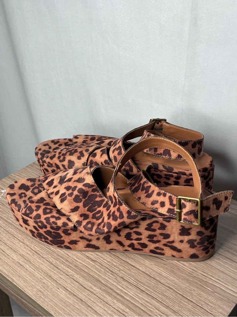 Coconuts by Matisse stylish leopard